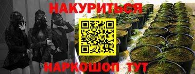 спайс Краснодар