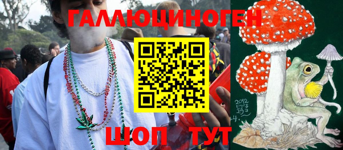 Галлюциногенные грибы Psilocybine cubensis  Вход с VPN  Ковров 