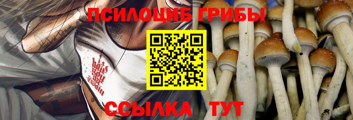 Псилоцибиновые грибы ЛСД Ковров